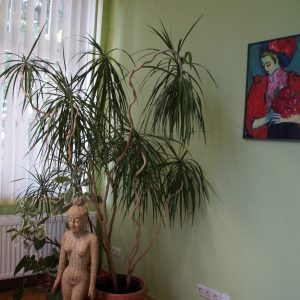 Unser Sprechzimmer